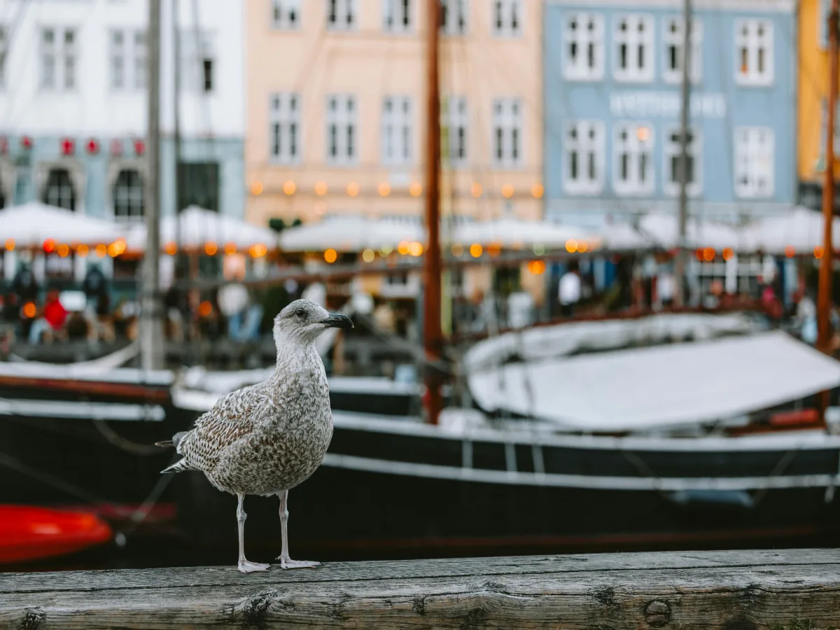 Copenhagen, Denmark